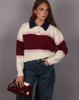 Polo a righe variante blu e bordeaux