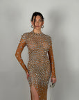 Long dress luxury Nude/argento